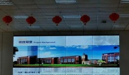 徐州小学爆料事件最新消息,真相揭开，家长震惊不已